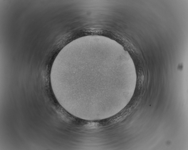 X0000116450609201001191554