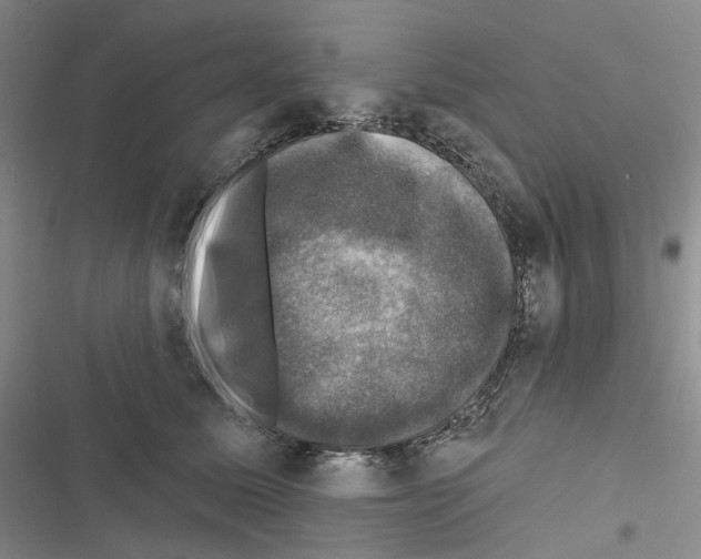 X0000116450611201001191554
