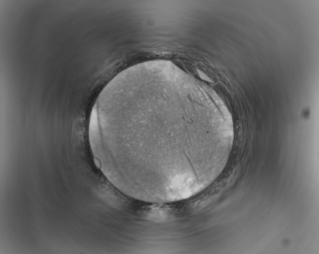 X0000116450612201001191554