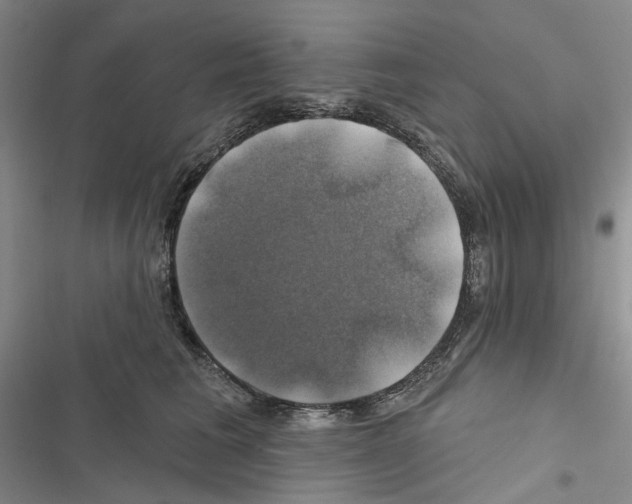X0000116450613201001191554