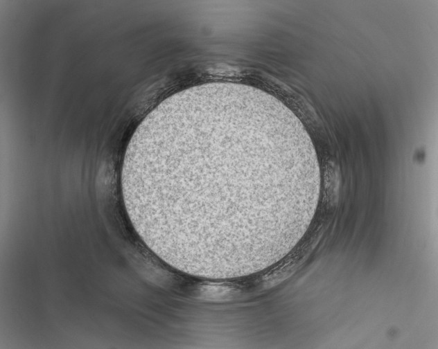 X0000116450614201001191554