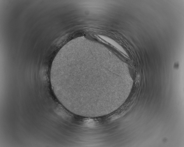 X0000116450616201001191554