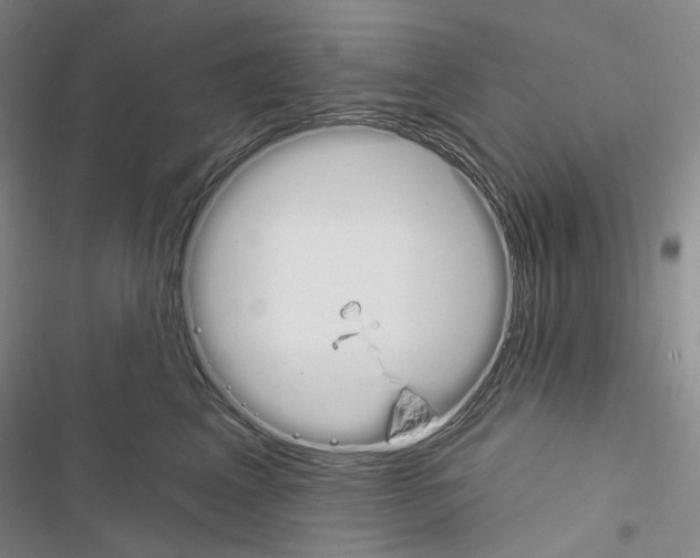 X0000116450617201001191554