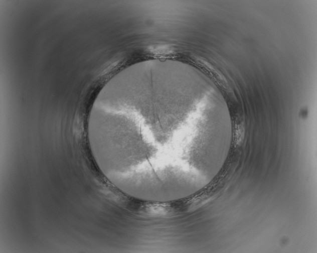 X0000116450618201001191554