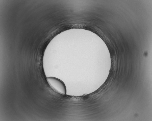 X0000116450619201001191554