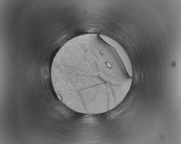 X0000116450620201001191554