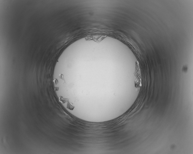 X0000116450621201001191554