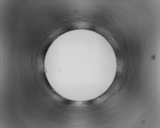 X0000116450622201001191554
