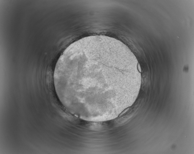 X0000116450623201001191554