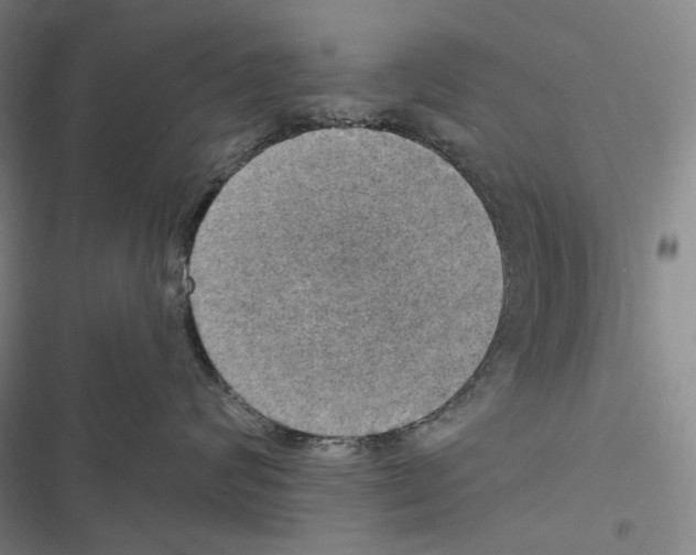 X0000116450624201001191554