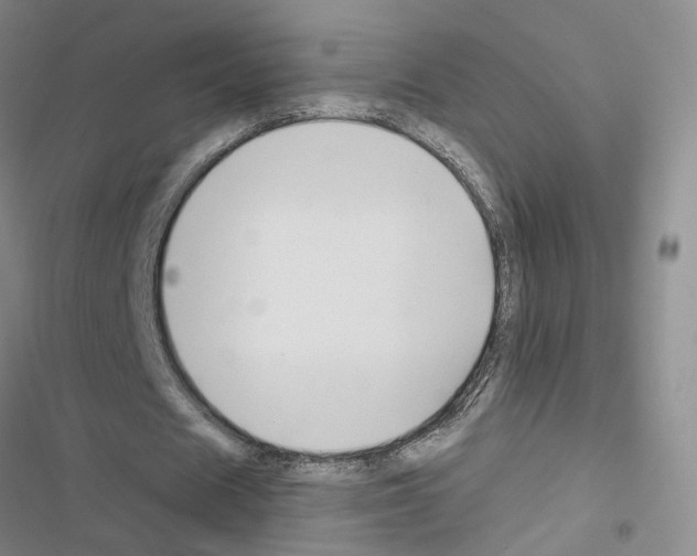 X0000116450625201001191553