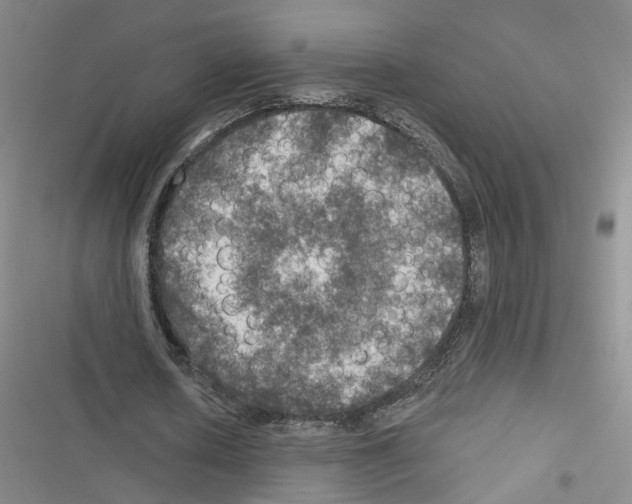 X0000116450626201001191553