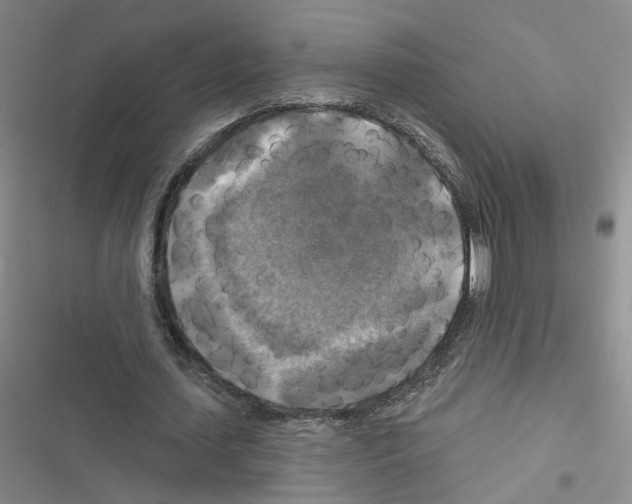 X0000116450627201001191553
