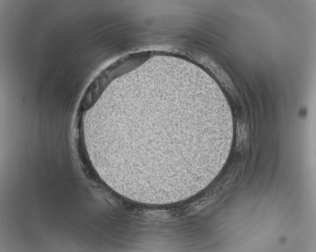X0000116450628201001191553