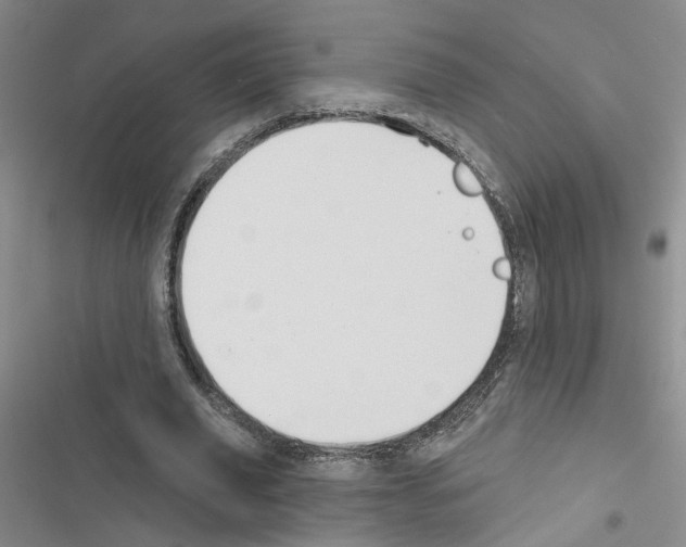 X0000116450629201001191553