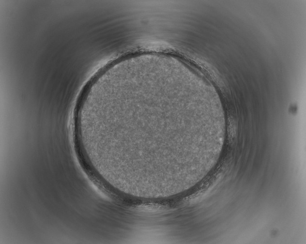 X0000116450630201001191553