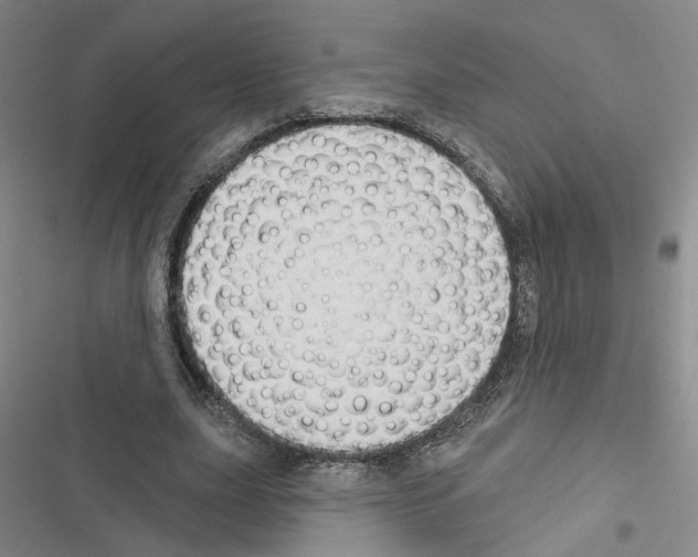 X0000116450631201001191553