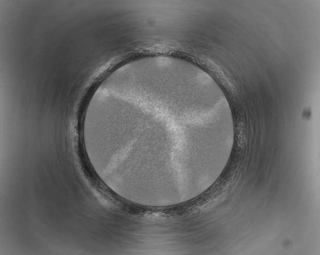 X0000116450634201001191553