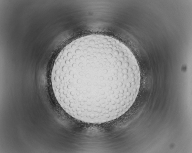 X0000116450635201001191553
