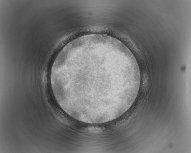 X0000116450636201001191553