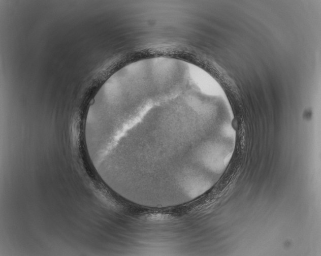X0000116450637201001191553
