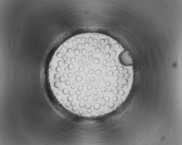 X0000116450638201001191553