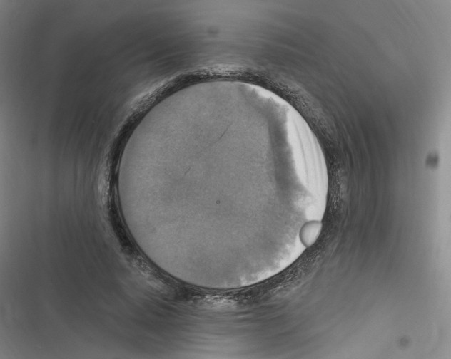X0000116450640201001191553