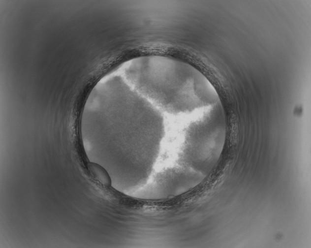 X0000116450641201001191553