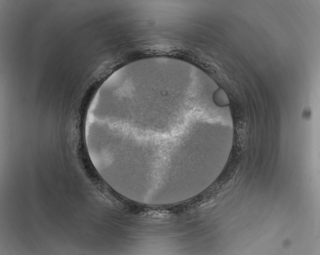 X0000116450642201001191553