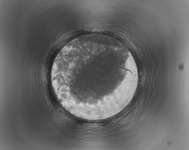 X0000116450643201001191553