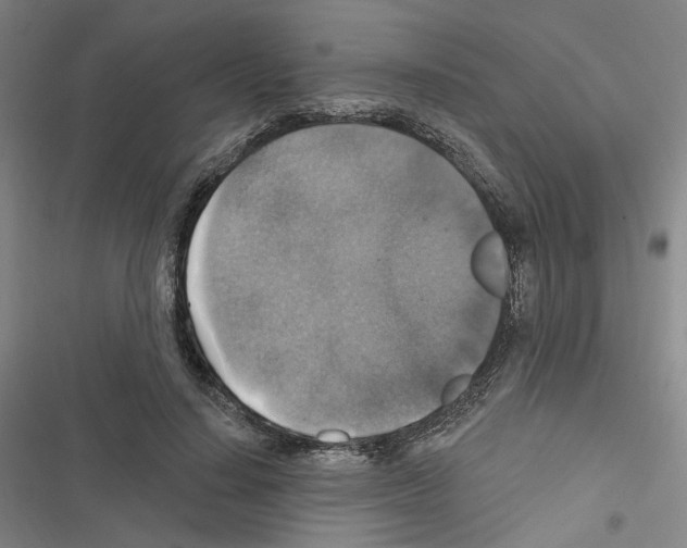 X0000116450644201001191553