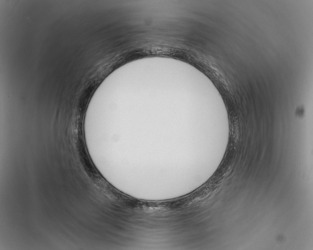 X0000116450645201001191553