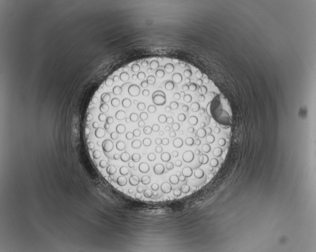 X0000116450646201001191553