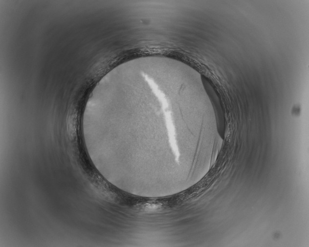 X0000116450647201001191553