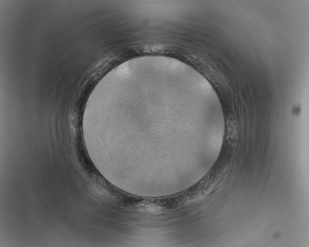 X0000116450648201001191553