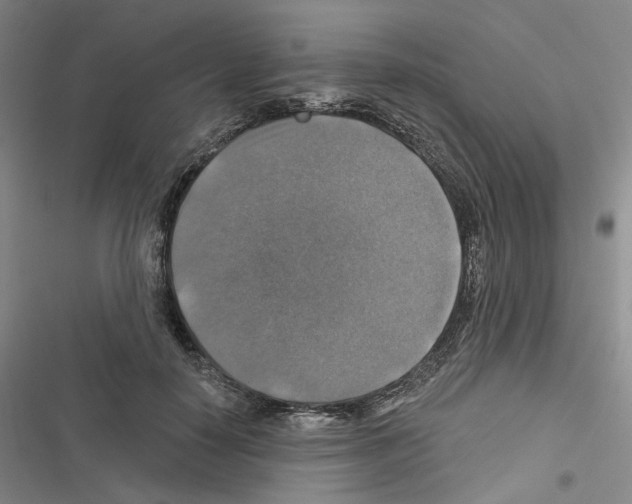 X0000116450650201001191554