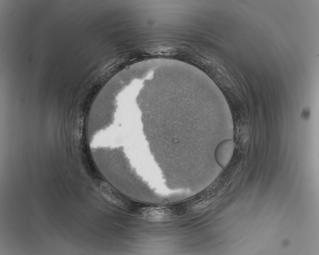 X0000116450652201001191554