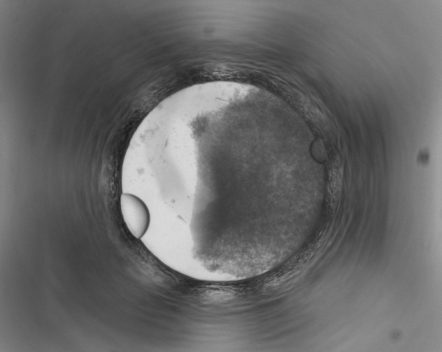 X0000116450653201001191554
