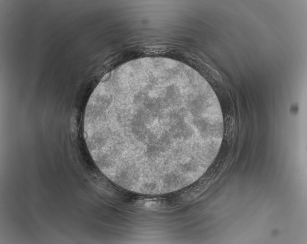 X0000116450655201001191554