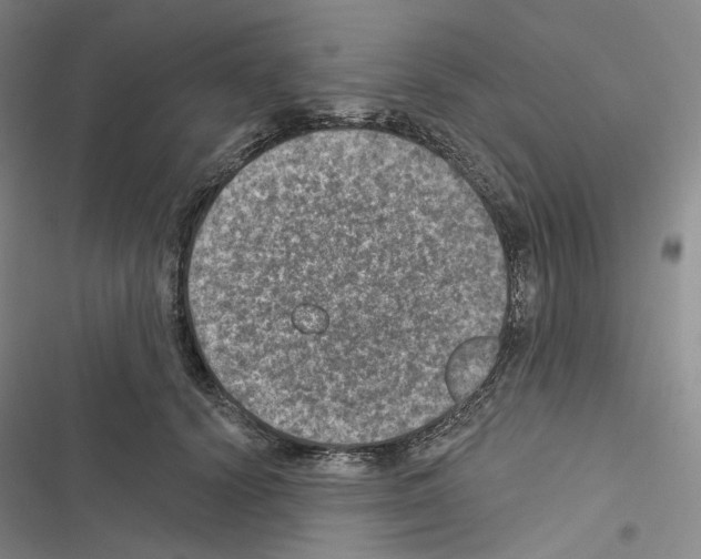 X0000116450656201001191554