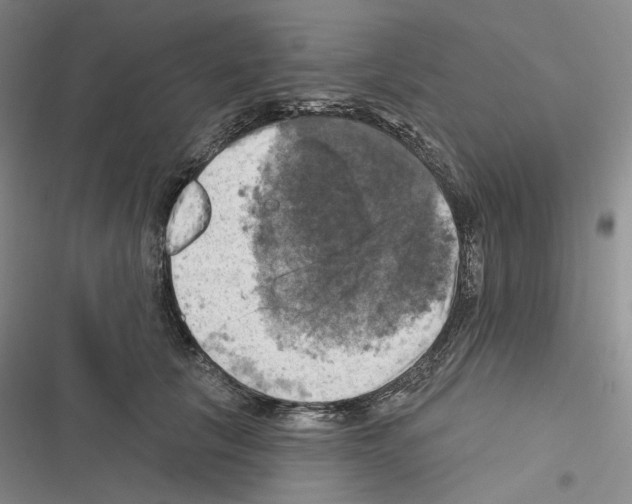 X0000116450657201001191554