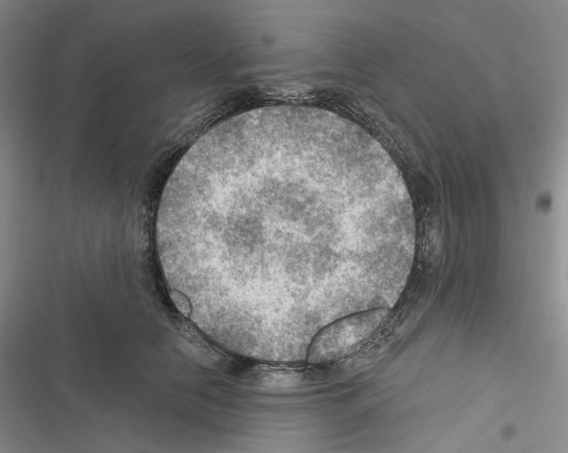 X0000116450658201001191554