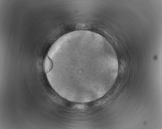 X0000116450659201001191554