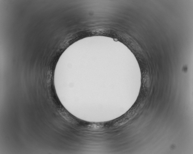 X0000116450660201001191554