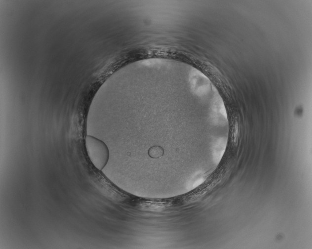 X0000116450661201001191554