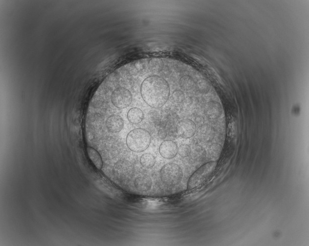X0000116450662201001191554
