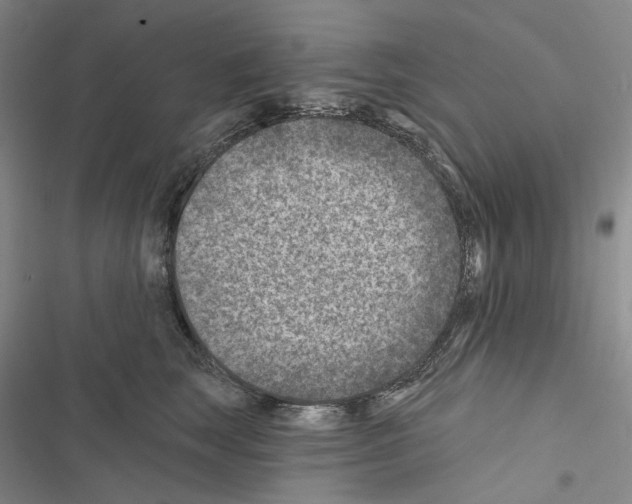 X0000116450663201001191554