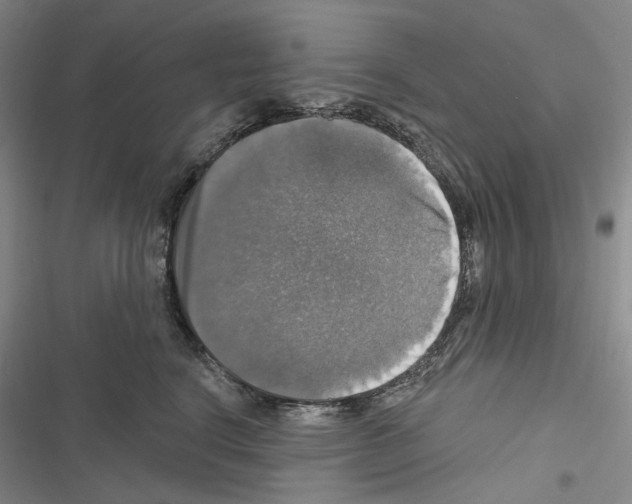 X0000116450664201001191554