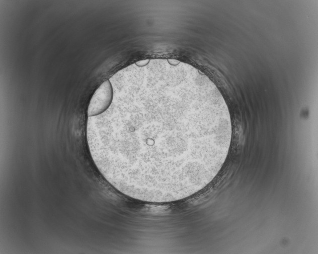 X0000116450665201001191554