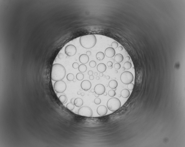 X0000116450666201001191554